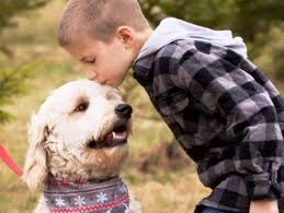 This includes learning how to. Autism Service Dogs Service Dog Training Highland Canine Training