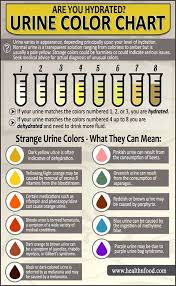 Urine Color Indicator Chart Www Bedowntowndaytona Com