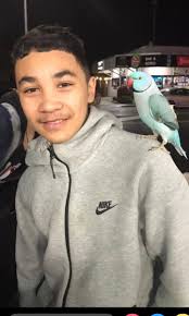 daily obituary notice