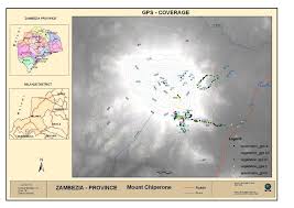 Image result for Tricalysia acocantheroides