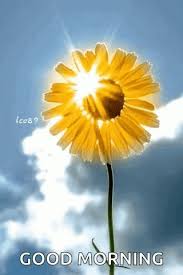 Sunlight &amp; Sunflower Good Morning Gif Pictures, Photos, and Images for&nbsp; Facebook, Tumblr, Pinterest, and Twitter
