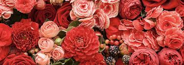 Maybe you would like to learn more about one of these? Eki Flowers Linkedin