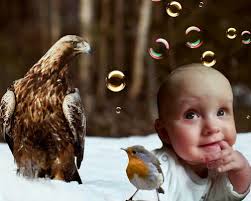 Artistic Child Photography