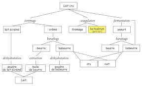 File Schema Lactoserum Png Wikimedia Commons