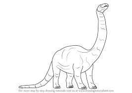 Then connect these circles with an outline. Learn How To Draw A Brontosaurus Dinosaur Dinosaurs Step By Step Drawing Tutorials