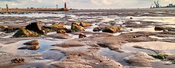 Für »einmal ebbe & flut«. Bremerhaven Funkt Ebbe Un Flood Ganz Platt Erklart Logbuch Bremerhaven