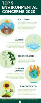 The Top 5 Environmental Concerns In 2020 Environmental Concerns Conservation Activities Environmental Activities