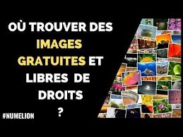 Trouver Des Images Libres De Droits Sur Internet Par Le Biais De Banques D Images Ainsi Vous Pourrez Agre Banque Image Images Gratuites Banque Image Gratuite