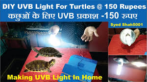 Uvb Light Setup Diy Turtles Uvb Light 150 Youtube
