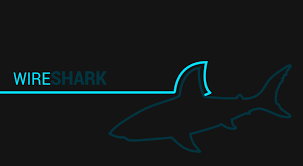 Well Known Network Protocol Analyzer: WireShark | CYBERPUNK