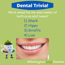 Dental pain may affect patients of all ages and notably may lead to the first encounter with opioids for ado. Time For Some Dental Trivia Wilmington Kids Dentist Facebook