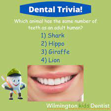 To celebrate james holzhauer's amazing winning streak on jeopardy, here's a little dental trivia quiz for you! Time For Some Dental Trivia Wilmington Kids Dentist Facebook