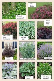 Abgesenkte Feuerstelle Im Garten Front Yard Plants Shrubs For Landscaping Front Garden Landscape
