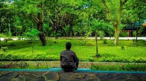 Makanya kita ke sana, rupanya semua mereka abis kejadian di tamansari mereka kumpul semua di situ (bukit duri), kata lalu kepada wartawan, rabu (23/6/2021). Kebun Raya Jompie Objek Wisata Di Parepare Kota Kelahiran Bj Habibie