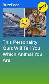 Which Animal Are You Animal Quiz Spirit Animal Quiz Spirt Animal Quiz