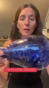 #mention #giftstiktok #roadto10k #teamwork #help #thankyou #hi #hitiktok  #love #hello #hummingbird #hummingbirds #hummingbirdfeeder  #hummingbirdsoftiktok