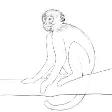 Pin On Drawing