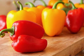 Image result for Capsicum