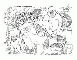 Your child needs to learn the names of different animals and recognize them. Free Printable Rainforest Coloring Pages Coloring Home