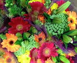 In the western mountains and in. About Us Merlin S Greenhouse Flowers Oregon Il