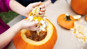 Image result for Where to buy Pumpkin Seeds In Uganda