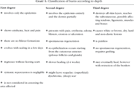 Inicial Management Of Burns Approach By Dermatologists