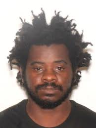 Sex Offenders near Royal Palm Charter School