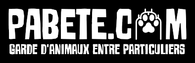 Pet sitter in albion, black river, mauritius. Pabete Com La Plateforme De Garde De Chiens Chats Et Nac