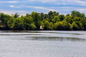 If you are planning a road trip, you might also want to calculate the total driving time from kentucky to virginia so you can see when you'll arrive at your destination. Kentucky To Maryland Moving Companies Recommended