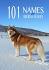 Husky Names | The Best 101 Names for Huskies in 2020
