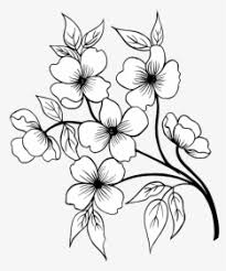 We did not find results for: Drawn Flower Png Images Free Transparent Drawn Flower Download Kindpng