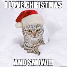 This year, super charge the holiday with 100 funny memes that will make your christmas every more joyful. Christmas Memes Memezila Com