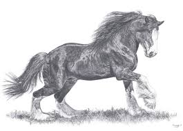 Shire Horse Drawing By Frances Vincent Saatchi Art Horse Drawing Horse Drawings Horse Sketch