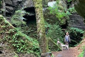 Sehr geehrte bürgerinnen und bürger, die freude über jeden schritt zu ein bisschen mehr normalität ist groß, auch mir geht es so. Wandern Mit Hund In Der Sachsischen Schweiz Leiky