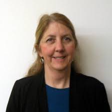 CHSV appoints executive director