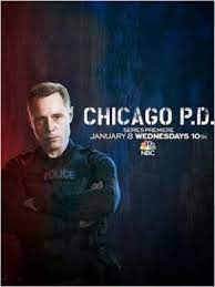 Serie Chicago Pd Para Ver Online O Descargar En Series Danko Chicago Pd Chicago Police