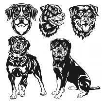Download Cuttable Catalog Apex Embroidery Designs Monogram Fonts Alphabets Dog Lovers Art Rottweiler Dog Caricature SVG, PNG, EPS, DXF File