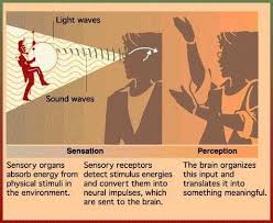 Sensation And Perception Illusions Sensation And Perception Teaching Psychology Cognitive Psychology Ap Psychology