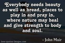Quotes For Health Is Wealth Love Quotes Images In 2020 Love Quotes With Images Health Quotes Inspirational Health Is Wealth Quotes