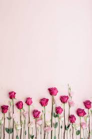 Find millions of popular wallpapers and ringtones on zedge™ and personalize your phone to suit you. 35 Most Popular Flower Wallpapers For Your Iphone Colorful Wallpaper Flower Wallpaper Landscape Wallpaper Imtopic