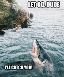 The 25 Funniest Shark Memes Sharks Funny Shark Meme Shark Pictures