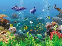 Cara menggambar pemandangan bawah laut mewarnai untuk. Wallpaper Pemandangan Bawah Laut Kartun Laut Wallpaper Pemandangan Bawah Laut Kartunhttp Pemandanganoce Blogspot Com Pemandangan Lukisan Pemandangan Abstrak