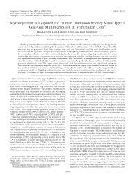 Take a look at li jun li and share your take on the latest li jun li news. Https Journals Asm Org Doi Pdf 10 1128 Jvi 01280 07