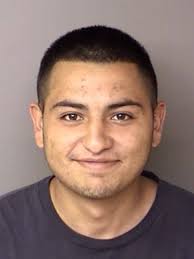 Jerry Lee, 22 and Eli Trigo, 20 and Eduardo Munoz, 20 were arrested after  having been in hiding since the Duval County Sheriff's Office issued  warrants for their arrests for the offense