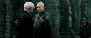Harry potter memes definitely require some knowledge of harry potter. These Are The Best Harry Potter Memes Ever Time