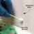 Stages Of Black Mold Growth