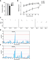 Pdf, txt or read online from scribd. Kdm5a Mutations Identified In Autism Spectrum Disorder Using Forward Genetics Elife