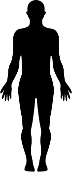 Hagebau.de bietet ihnen einen große auswahl an mr. Human Figure Silhouette Png Download The Perfect Human Silhouette Pictures Bmp Ville