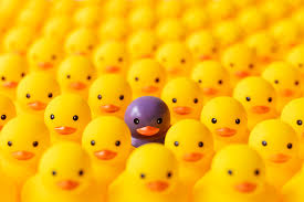 a duck sticking out of the crowd because it used feature/benefit/use terms to stick out from the competition