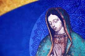 In 1531 in mexico, the virgin mary appeared to an indigenous convert named juan diego. Honor Your Mother Our Lady Of Guadalupe Celebration The Roman Catholic Diocese Of Phoenix